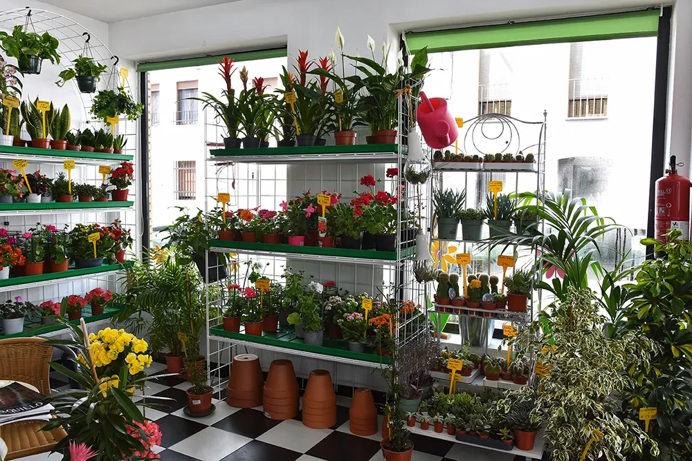 Instalaciones