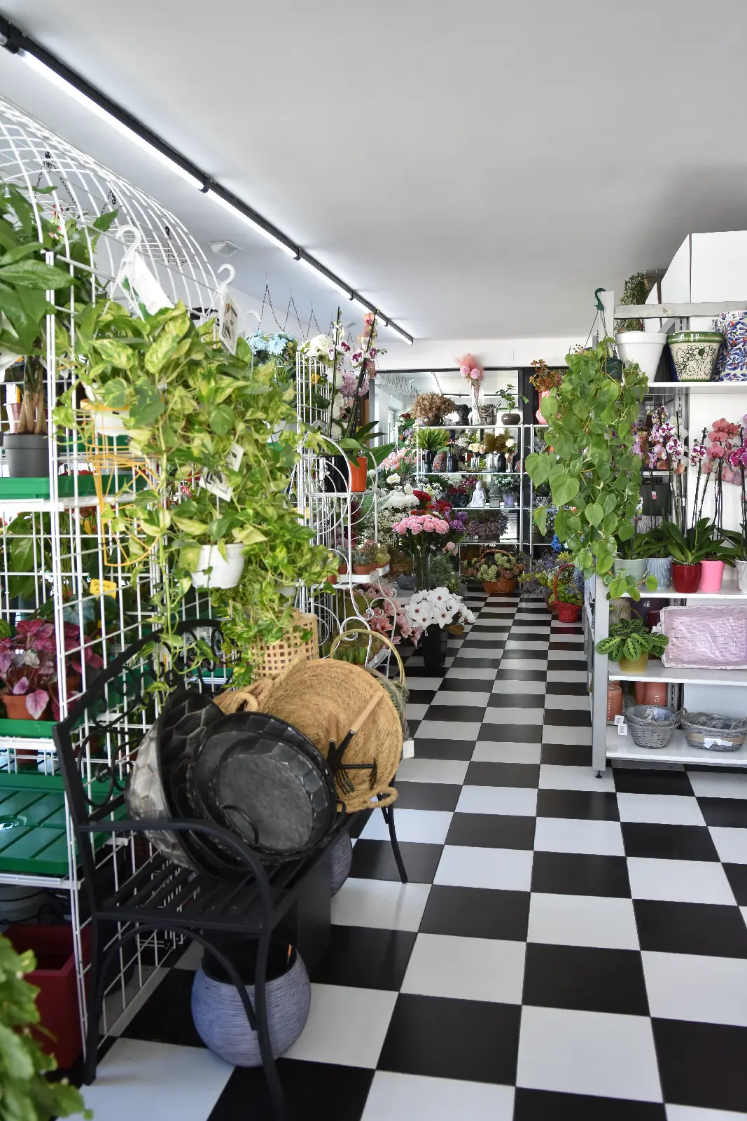 Instalaciones Garden Los Pedroches